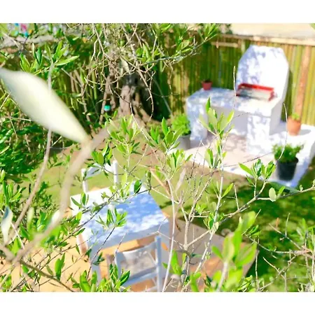 Elmar Tree House 罗达