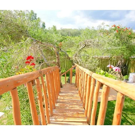 度假居 Elmar Tree House
