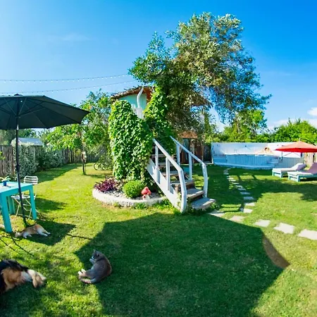 Villa Elmar Tree House