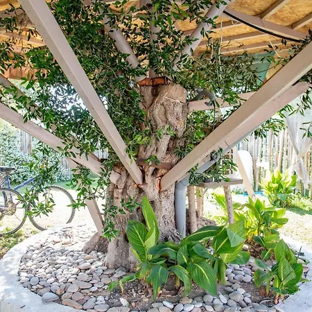 Elmar Tree House Villa *