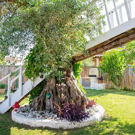 Villa Elmar Tree House Roda (Corfu)