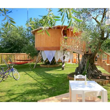 Elmar Tree House Дом отдыха *