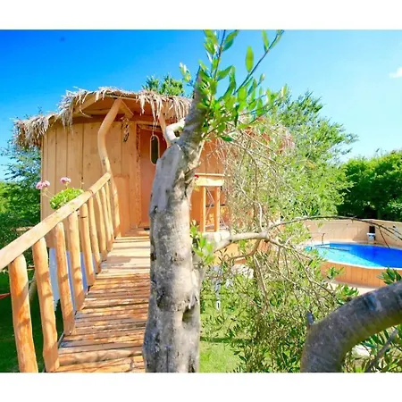 Casa vacanze Elmar Tree House *