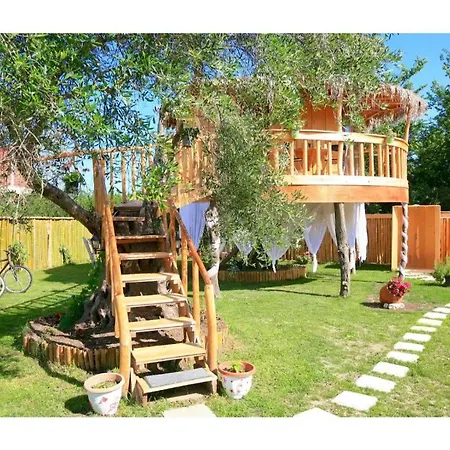 Elmar Tree House